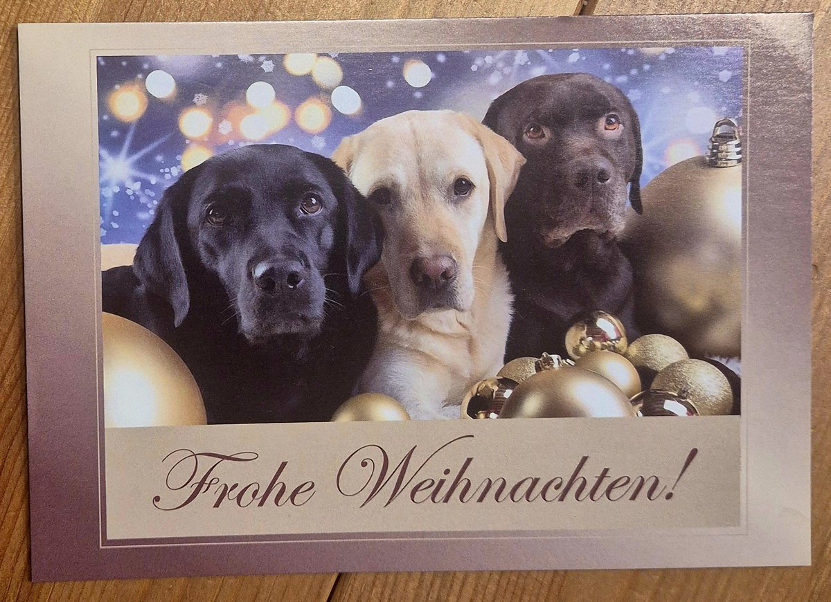 Ich hab die weltbeste Weihnachtspost bekommen! 🥳🥳🥳 
Vielen lieben tausend Dank an <a href="/falunrot/">Falunrot</a> !