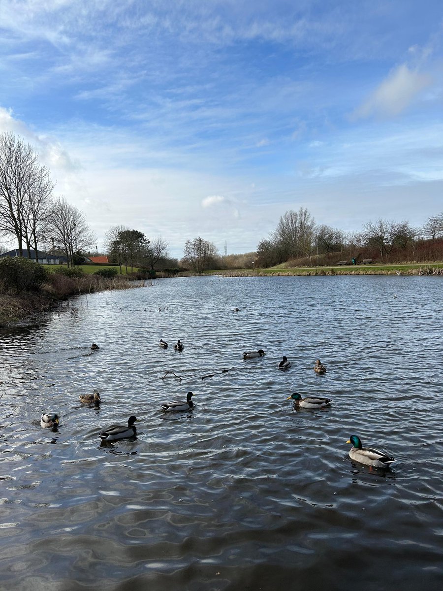 Good morning🦆♥️