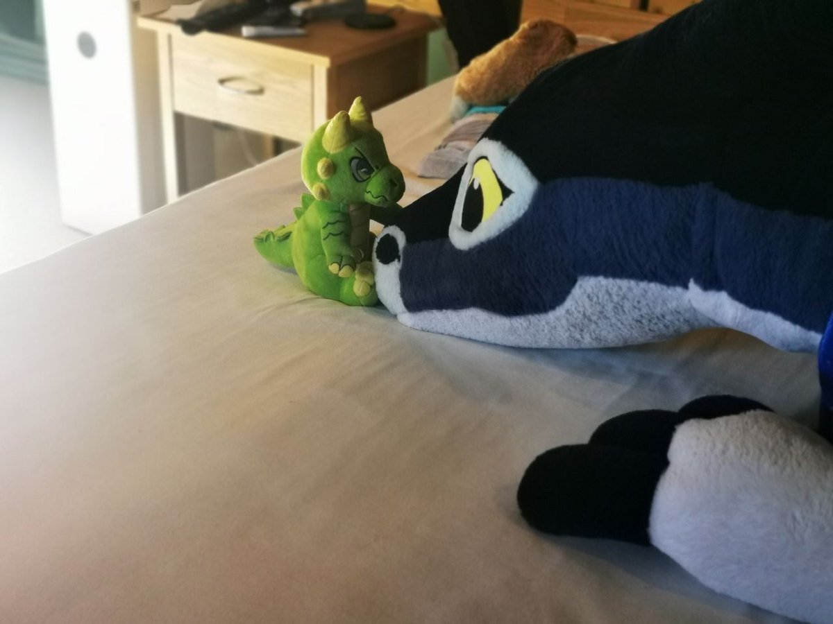 Akahito あかひと - 焚火竜 tweet media