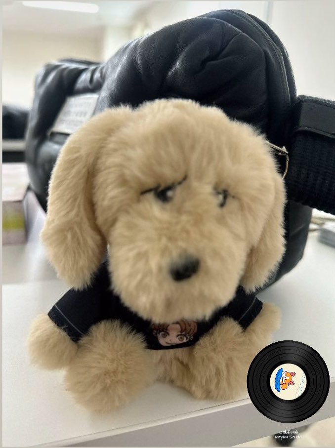 ONE N' ONLYの山下永玖くんです❣️ 愛犬（ロック）を亡くなった今でも