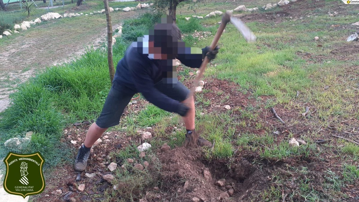 AGENTES APAMCV tweet media