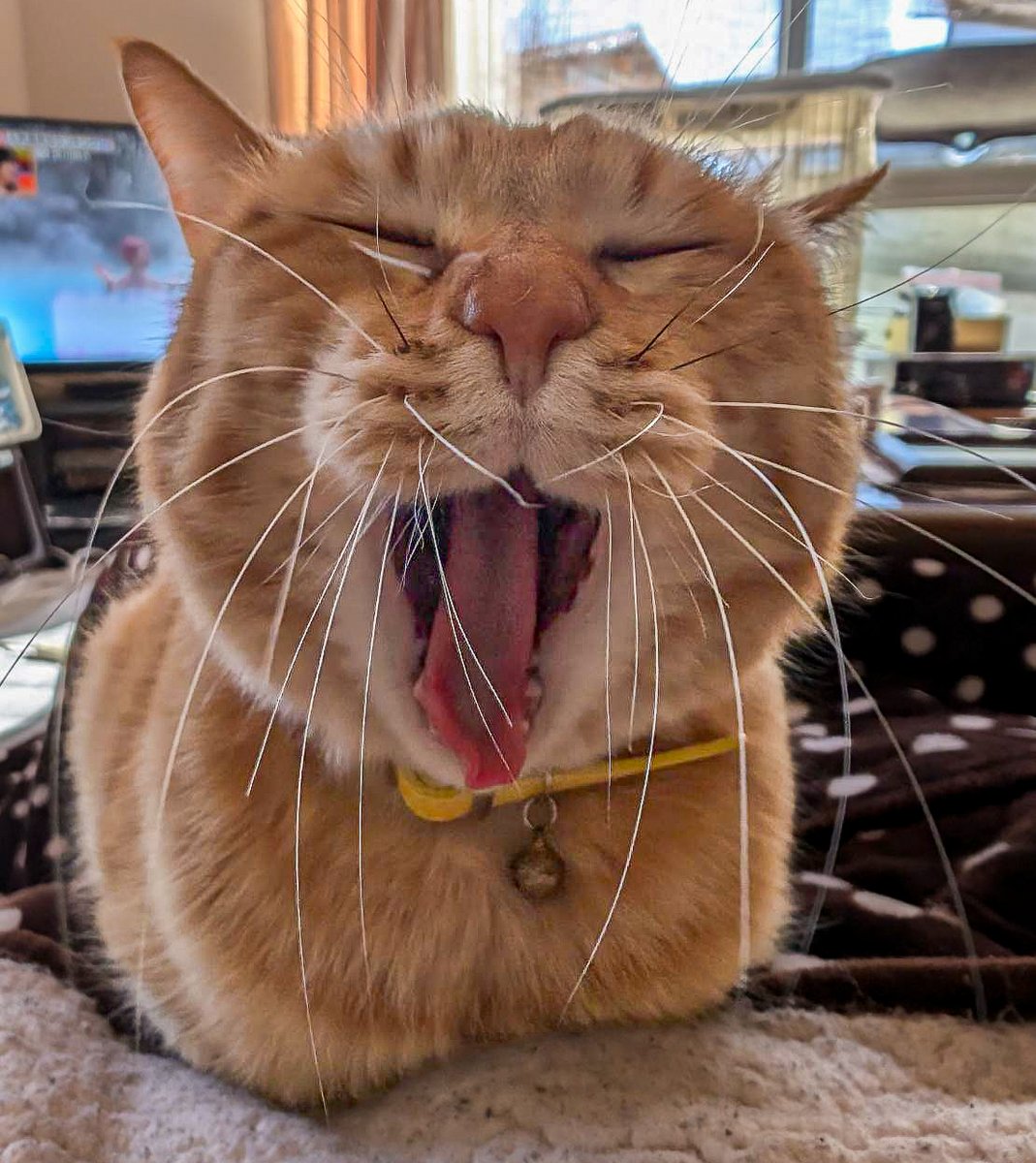 もう悩み無用！ (@mounayamimuyou) / Posts / X