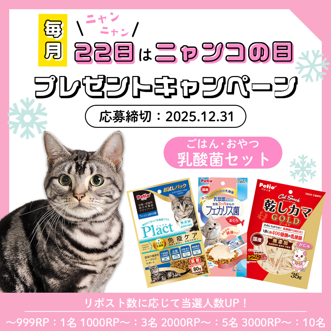 petio_official's tweet image. ／
📢#毎月22日はニャンコの日🐱
プレゼントキャンペーン🎁
＼

寒い冬は免疫ケア❄️
乳酸菌配合のごはん・おやつのセットをプレゼント❣️
 
🎯応募方法
①@petio_officialをフォロー
②この投稿をリポスト

📅12/31まで

#ペティオ