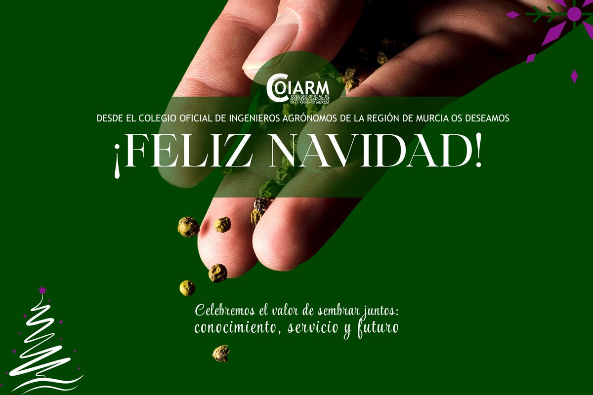🎄Desde el COIARM os enviamos nuestros mejores deseos para esta Navidad🎄