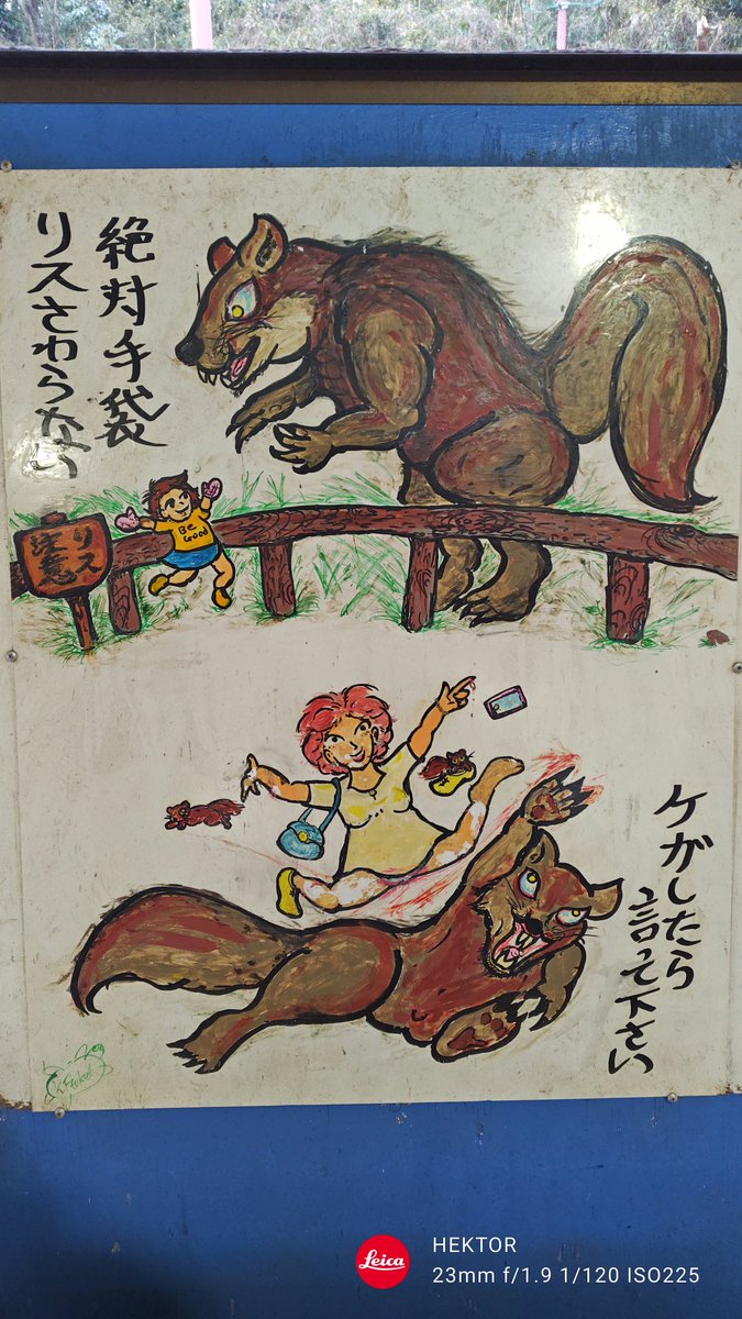 町田さんぼ部で🐿️園行ってきました!🐿️ 🌻🫲('・∀・`)。エサやり5秒で袋持ってかれて終わり!。 