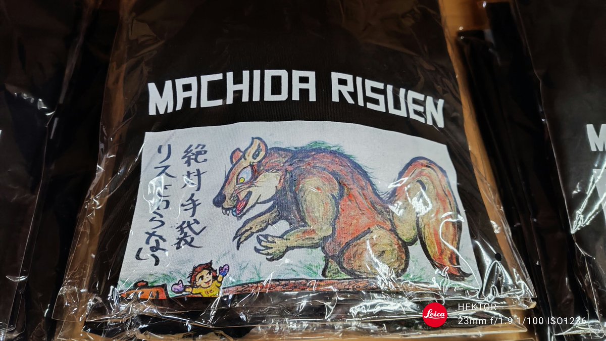 町田さんぼ部で🐿️園行ってきました!🐿️ 🌻🫲('・∀・`)。エサやり5秒で袋持ってかれて終わり!。 
