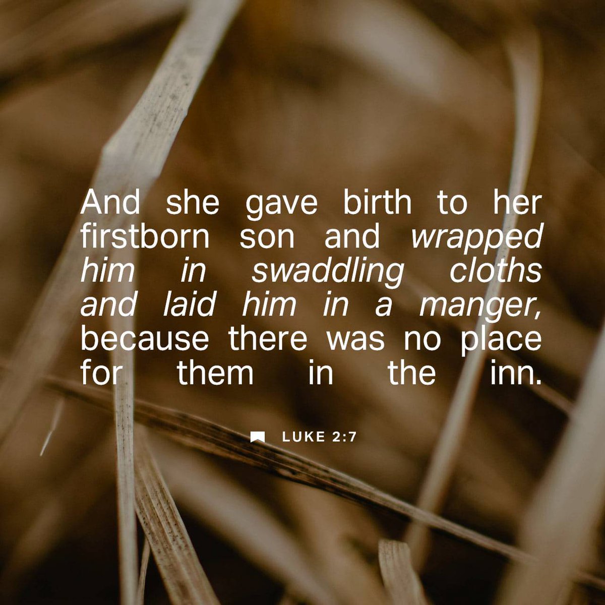 dynamoned's tweet image. Luke 2:7 ESV
[7] And she gave birth to her firstborn son and wrapped him in swaddling cloths and laid him in a manger, because there was no place for them in the inn.

bible.com/bible/59/luk.2…