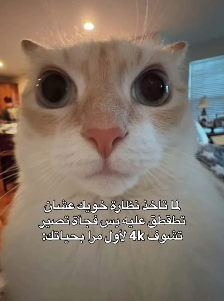 md272000's tweet photo. @AllahYl3nAlyhod https://t.co/yTXzYB8RX7