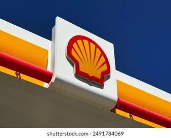 خالد المحمدي tweet media