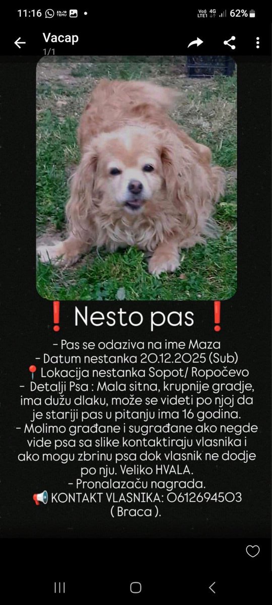 LickaVestica's tweet photo. MOLIM VAS HITNO ZA RT‼️ https://t.co/GGCa5srSmZ