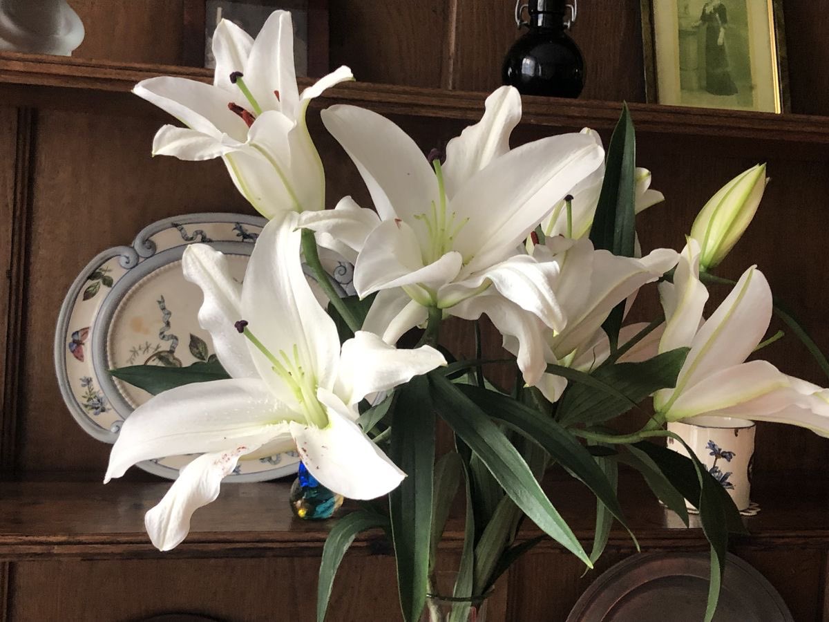 1leio's tweet image. 