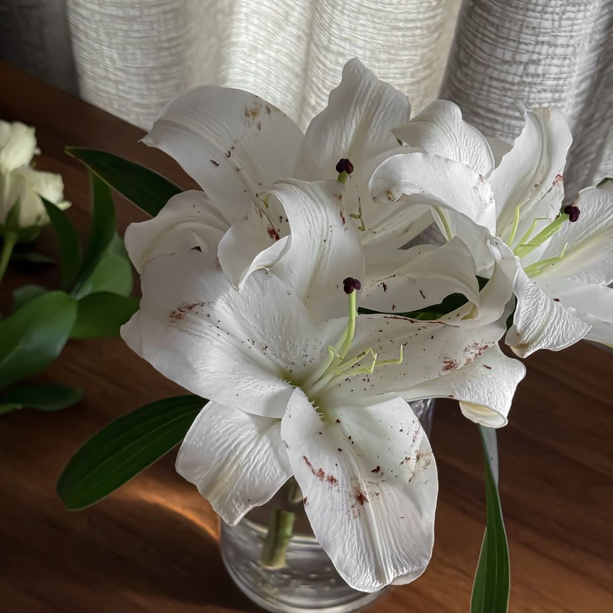 1leio's tweet image. 