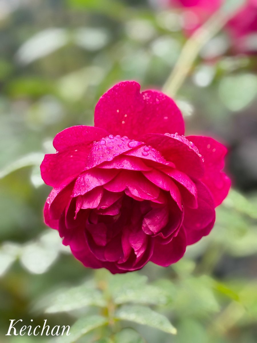 けいちゃん (@k1222_keichan) / Posts / X