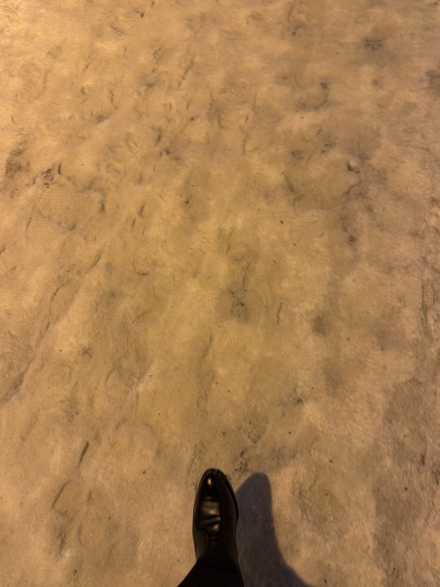 Post by まめすけ on X: 革靴だから今これ