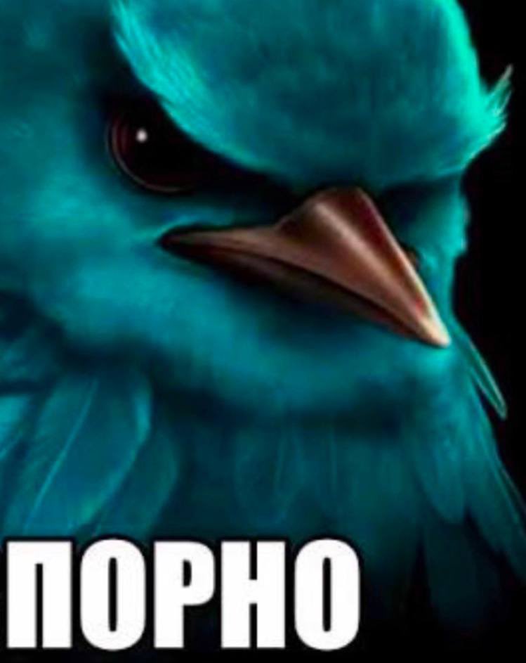 minilubov's tweet image. последний сохраненный мем — ваш прогноз на 2026

ок.