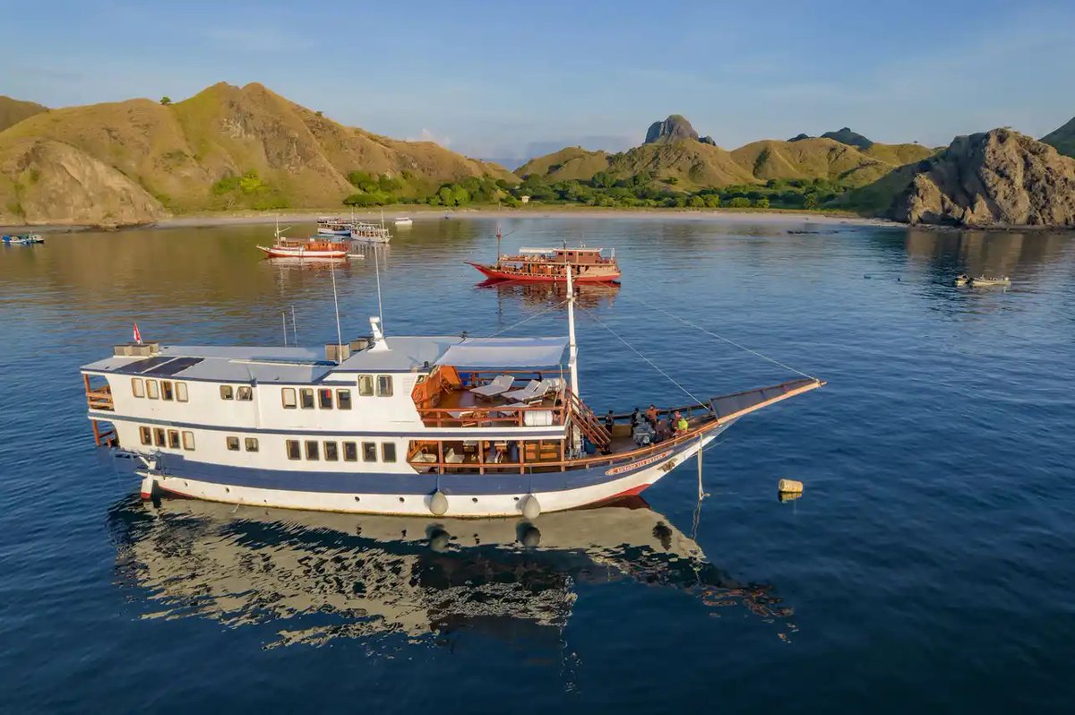 LiveaboardCom's tweet image. Up to 30% OFF January departures aboard Komodo Sea Dragon 🇮🇩🐉
Epic reefs, manta encounters &amp;amp; a visit to Komodo Island to see the legendary dragons. A perfect mix of underwater action and wild landscapes.
Book now: liveaboard.com/diving/indones…

#LiveAboard #IndonesiaDiving…
