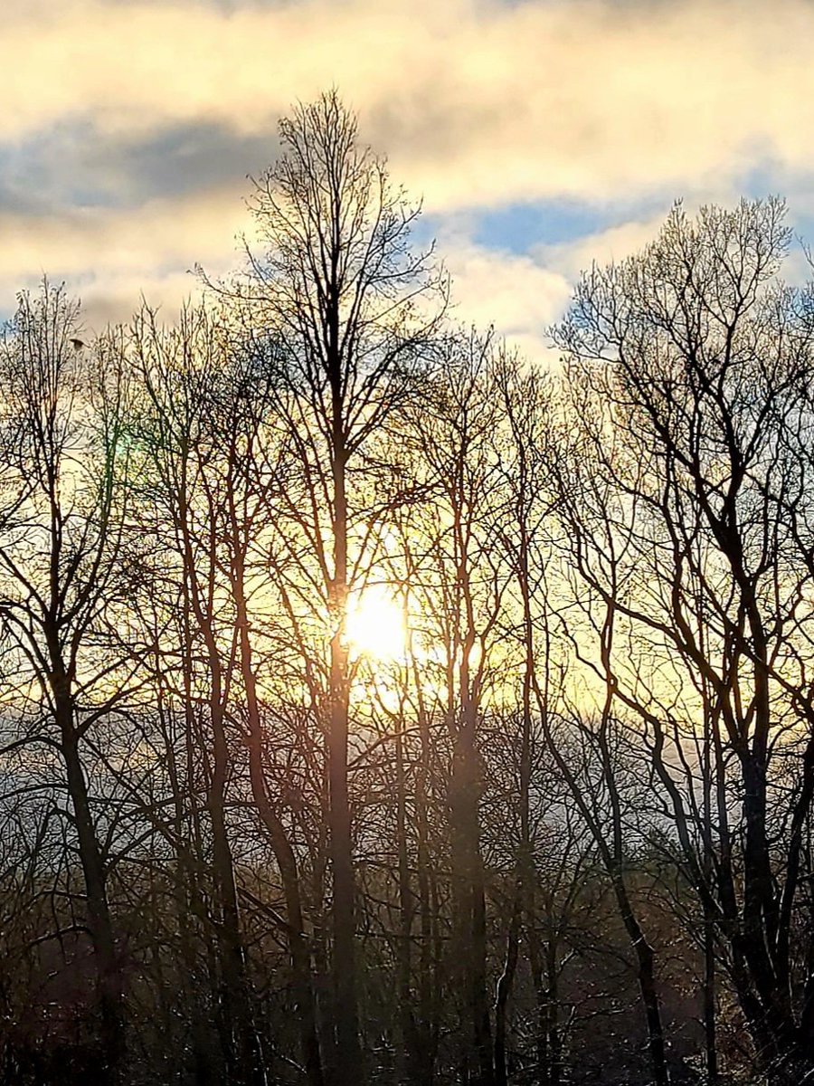 Māra Manson (@madarmara) on Twitter photo 