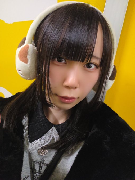 Dolly Catsのツイート