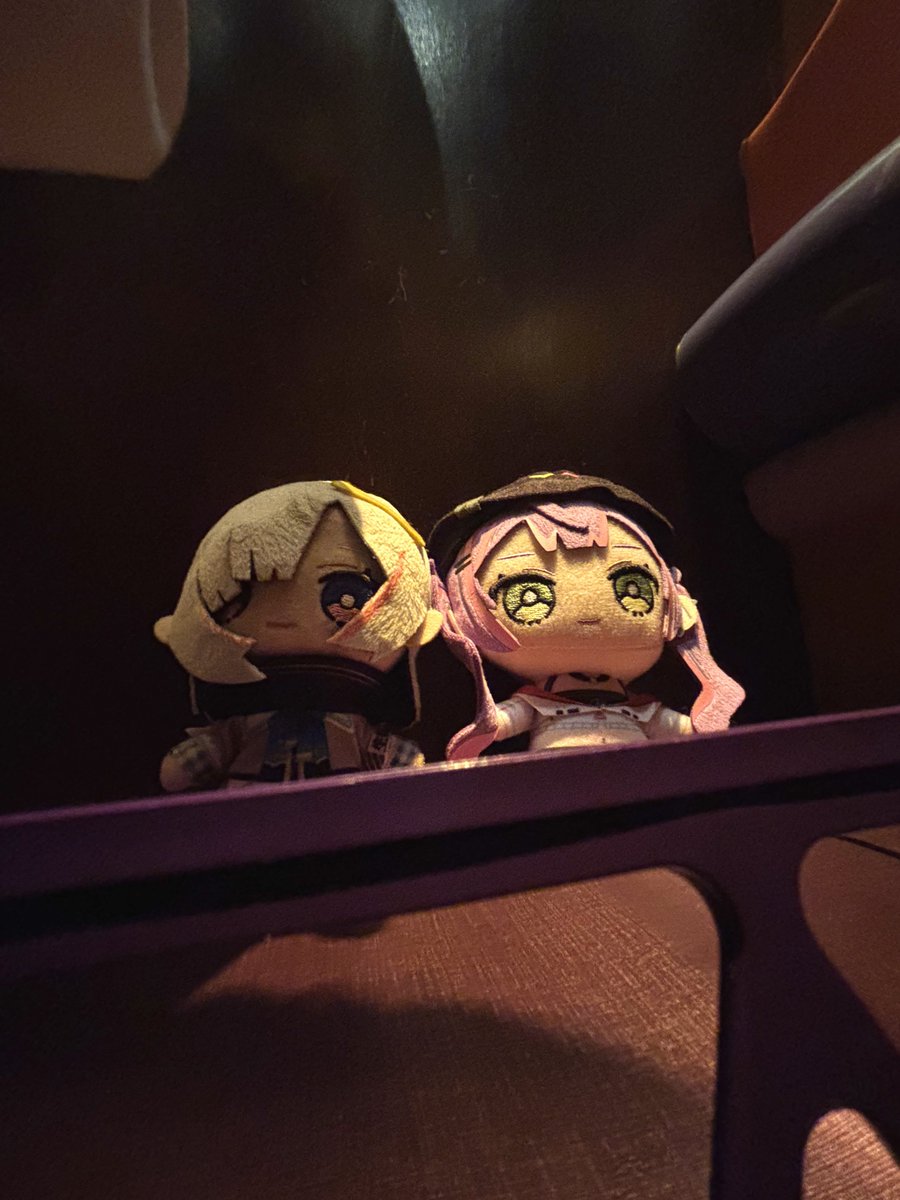 トワ様とかなたんを連れてディズニーに行ってきました！ クリスマスに