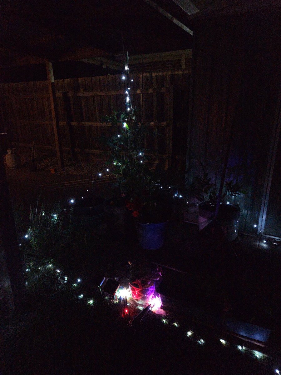 StarSeed Witch🌟 tweet media