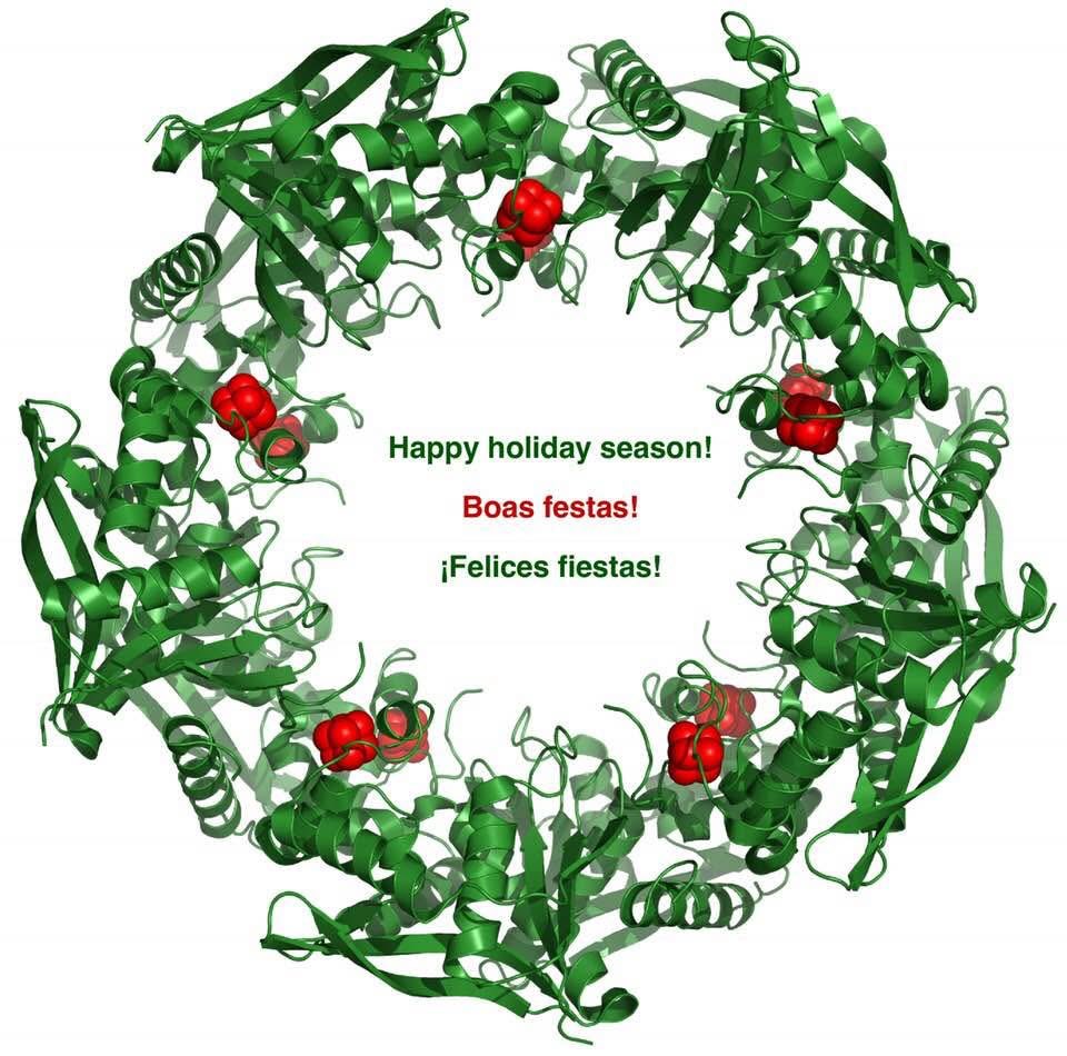 Xose R Bustelo tweet media