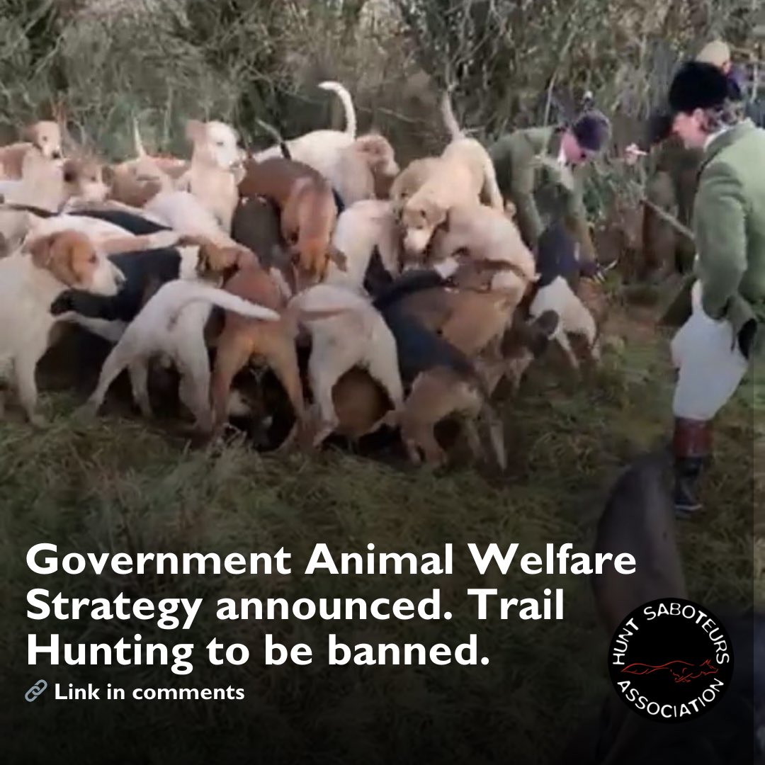 HuntSabs's tweet photo. “𝘛𝘳𝘢𝘪𝘭 𝘩𝘶𝘯𝘵𝘪𝘯𝘨

𝘖𝘷𝘦𝘳 20 𝘺𝘦𝘢𝘳𝘴 𝘢𝘧𝘵𝘦𝘳 𝘵𝘩𝘦 2004 𝘏𝘶𝘯𝘵𝘪𝘯𝘨 𝘈𝘤𝘵 𝘸𝘢𝘴 𝘪𝘯𝘵𝘳𝘰𝘥𝘶𝘤𝘦𝘥, 𝘤𝘰𝘯𝘤𝘦𝘳𝘯𝘴 𝘱𝘦𝘳𝘴𝘪𝘴𝘵 𝘢𝘳𝘰𝘶𝘯𝘥 𝘪𝘭𝘭𝘦𝘨𝘢𝘭 𝘩𝘶𝘯𝘵𝘪𝘯𝘨 𝘣𝘦𝘪𝘯𝘨 𝘤𝘢𝘳𝘳𝘪𝘦𝘥 𝘰𝘶𝘵 𝘶𝘯𝘥𝘦𝘳 𝘵𝘩𝘦 𝘨𝘶𝘪𝘴𝘦 𝘰𝘧 𝘵𝘳𝘢𝘪𝘭 𝘩𝘶𝘯𝘵𝘪𝘯𝘨. 𝘛𝘳𝘢𝘪𝘭 𝘩𝘶𝘯𝘵𝘪𝘯𝘨, 𝘸𝘩𝘦𝘳𝘦 𝘢𝘯 𝘢𝘯𝘪𝘮𝘢𝘭-𝘣𝘢𝘴𝘦𝘥 𝘴𝘤𝘦𝘯𝘵 𝘵𝘳𝘢𝘪𝘭 𝘪𝘴 𝘭𝘢𝘪𝘥 𝘧𝘰𝘳 𝘥𝘰𝘨𝘴 𝘵𝘰 𝘧𝘰𝘭𝘭𝘰𝘸, 𝘪𝘴 𝘢𝘯 𝘢𝘤𝘵𝘪𝘷𝘪𝘵𝘺 𝘵𝘩𝘢𝘵 𝘥𝘪𝘥 𝘯𝘰𝘵 𝘦𝘹𝘪𝘴𝘵 𝘸𝘩𝘦𝘯 𝘵𝘩𝘦 𝘏𝘶𝘯𝘵𝘪𝘯𝘨 𝘈𝘤𝘵 𝘸𝘢𝘴 𝘦𝘯𝘢𝘤𝘵𝘦𝘥. 𝘛𝘩𝘦 𝘶𝘴𝘦 𝘰𝘧 𝘭𝘢𝘳𝘨𝘦 𝘱𝘢𝘤𝘬𝘴 𝘰𝘧 𝘩𝘰𝘶𝘯𝘥𝘴 𝘤𝘢𝘯 𝘱𝘶𝘵 𝘸𝘪𝘭𝘥 𝘮𝘢𝘮𝘮𝘢𝘭𝘴, 𝘩𝘰𝘶𝘴𝘦𝘩𝘰𝘭𝘥 𝘱𝘦𝘵𝘴 𝘢𝘯𝘥 𝘦𝘷𝘦𝘯 𝘮𝘦𝘮𝘣𝘦𝘳𝘴 𝘰𝘧 𝘵𝘩𝘦 𝘱𝘶𝘣𝘭𝘪𝘤 𝘢𝘵 𝘳𝘪𝘴𝘬. 𝘐𝘯 𝘢𝘥𝘥𝘪𝘵𝘪𝘰𝘯, 𝘵𝘩𝘦 𝘶𝘴𝘦 𝘰𝘧 𝘢𝘯𝘪𝘮𝘢𝘭-𝘣𝘢𝘴𝘦𝘥 𝘴𝘤𝘦𝘯𝘵𝘴 𝘪𝘯𝘤𝘳𝘦𝘢𝘴𝘦𝘴 𝘵𝘩𝘦 𝘳𝘪𝘴𝘬 𝘰𝘧 𝘵𝘩𝘦 𝘴𝘤𝘦𝘯𝘵𝘴 𝘰𝘧 𝘸𝘪𝘭𝘥 𝘢𝘯𝘪𝘮𝘢𝘭𝘴 𝘣𝘦𝘪𝘯𝘨 𝘱𝘪𝘤𝘬𝘦𝘥 𝘶𝘱, 𝘢𝘴 𝘥𝘰𝘦𝘴 𝘵𝘩𝘦 𝘱𝘳𝘢𝘤𝘵𝘪𝘤𝘦 𝘰𝘧 𝘭𝘪𝘧𝘵𝘪𝘯𝘨 𝘢𝘯𝘥 𝘥𝘳𝘰𝘱𝘱𝘪𝘯𝘨 𝘵𝘩𝘦 𝘵𝘳𝘢𝘪𝘭, 𝘸𝘩𝘪𝘤𝘩 𝘮𝘦𝘢𝘯𝘴 𝘩𝘰𝘶𝘯𝘥𝘴 𝘮𝘶𝘴𝘵 𝘢𝘤𝘵𝘪𝘷𝘦𝘭𝘺 𝘴𝘦𝘢𝘳𝘤𝘩.

𝘛𝘩𝘦𝘳𝘦 𝘪𝘴 𝘢𝘭𝘴𝘰 𝘢 𝘳𝘦𝘢𝘭 𝘳𝘪𝘴𝘬 𝘵𝘳𝘢𝘪𝘭 𝘩𝘶𝘯𝘵𝘪𝘯𝘨 𝘤𝘰𝘶𝘭𝘥 𝘣𝘦 𝘶𝘴𝘦𝘥 𝘵𝘰 𝘧𝘢𝘤𝘪𝘭𝘪𝘵𝘢𝘵𝘦 𝘪𝘭𝘭𝘦𝘨𝘢𝘭 𝘩𝘶𝘯𝘵𝘪𝘯𝘨 𝘣𝘺 𝘣𝘦𝘪𝘯𝘨 𝘶𝘴𝘦𝘥 𝘢𝘴 𝘢 𝘴𝘮𝘰𝘬𝘦𝘴𝘤𝘳𝘦𝘦𝘯 𝘵𝘰 𝘰𝘣𝘴𝘤𝘶𝘳𝘦 𝘪𝘯𝘵𝘦𝘯𝘵𝘪𝘰𝘯 𝘢𝘯𝘥 𝘦𝘯𝘢𝘣𝘭𝘪𝘯𝘨 𝘵𝘩𝘦 𝘪𝘯𝘦𝘷𝘪𝘵𝘢𝘣𝘭𝘦 𝘤𝘩𝘢𝘴𝘪𝘯𝘨 𝘰𝘧 𝘢𝘯𝘪𝘮𝘢𝘭𝘴.

𝘞𝘦 𝘩𝘢𝘷𝘦 𝘢𝘭𝘳𝘦𝘢𝘥𝘺 𝘤𝘰𝘮𝘮𝘪𝘵𝘵𝘦𝘥 𝘪𝘯 𝘰𝘶𝘳 𝘮𝘢𝘯𝘪𝘧𝘦𝘴𝘵𝘰 𝘵𝘰 𝘱𝘶𝘵 𝘢𝘯 𝘦𝘯𝘥 𝘵𝘰 𝘵𝘳𝘢𝘪𝘭 𝘩𝘶𝘯𝘵𝘪𝘯𝘨.

𝘈𝘤𝘵𝘪𝘰𝘯𝘴
𝘞𝘦 𝘸𝘪𝘭𝘭:

𝘱𝘶𝘵 𝘢𝘯 𝘦𝘯𝘥 𝘵𝘰 𝘵𝘳𝘢𝘪𝘭 𝘩𝘶𝘯𝘵𝘪𝘯𝘨 𝘢𝘯𝘥 𝘤𝘰𝘯𝘴𝘶𝘭𝘵 𝘪𝘯 𝘦𝘢𝘳𝘭𝘺 2026 𝘰𝘯 𝘩𝘰𝘸 𝘵𝘰 𝘥𝘦𝘭𝘪𝘷𝘦𝘳 𝘢 𝘣𝘢𝘯 𝘰𝘯 𝘵𝘳𝘢𝘪𝘭 𝘩𝘶𝘯𝘵𝘪𝘯𝘨”

https://t.co/ju8FA4I8B5