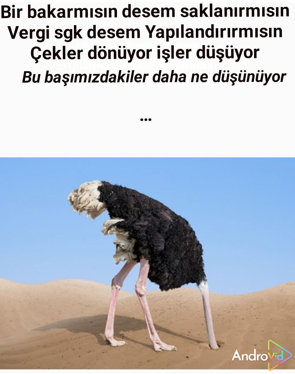 <a href="/RTErdogan/">Recep Tayyip Erdoğan</a>  <a href="/tcbestepe/">T.C. Cumhurbaşkanlığı</a>  <a href="/NumanKurtulmus/">Numan Kurtulmuş</a>  <a href="/_cevdetyilmaz/">Cevdet Yılmaz</a>  <a href="/efkanala/">Efkan Âlâ</a>  <a href="/hasandogan/">Hasan Doğan</a>  <a href="/ZeybekciNihat/">Nihat Zeybekci 🇹🇷</a> <a href="/Akparti/">AK Parti</a> <a href="/AKPartiTBMMGrup/">TBMM AK Parti Grup Başkanlığı</a> <a href="/MhpTbmmGrubu/">MHP TBMM Grubu #MHP</a> <a href="/MHP_Bilgi/">MHP</a> <a href="/dbdevletbahceli/">Devlet Bahçeli</a> <a href="/TBMMGenelKurulu/">TBMM Genel Kurulu</a> <a href="/isikhanvedat/">Prof. Dr. Vedat Işıkhan</a> <a href="/B_Palandoken/">Bendevi Palandöken</a> <a href="/RHisarciklioglu/">Rifat Hisarcıklıoğlu</a> <a href="/memetsimsek/">Mehmet Simsek</a> <a href="/HMBakanligi/">T.C. Hazine ve Maliye Bakanlığı</a>
#VergiSGKYapılandırma