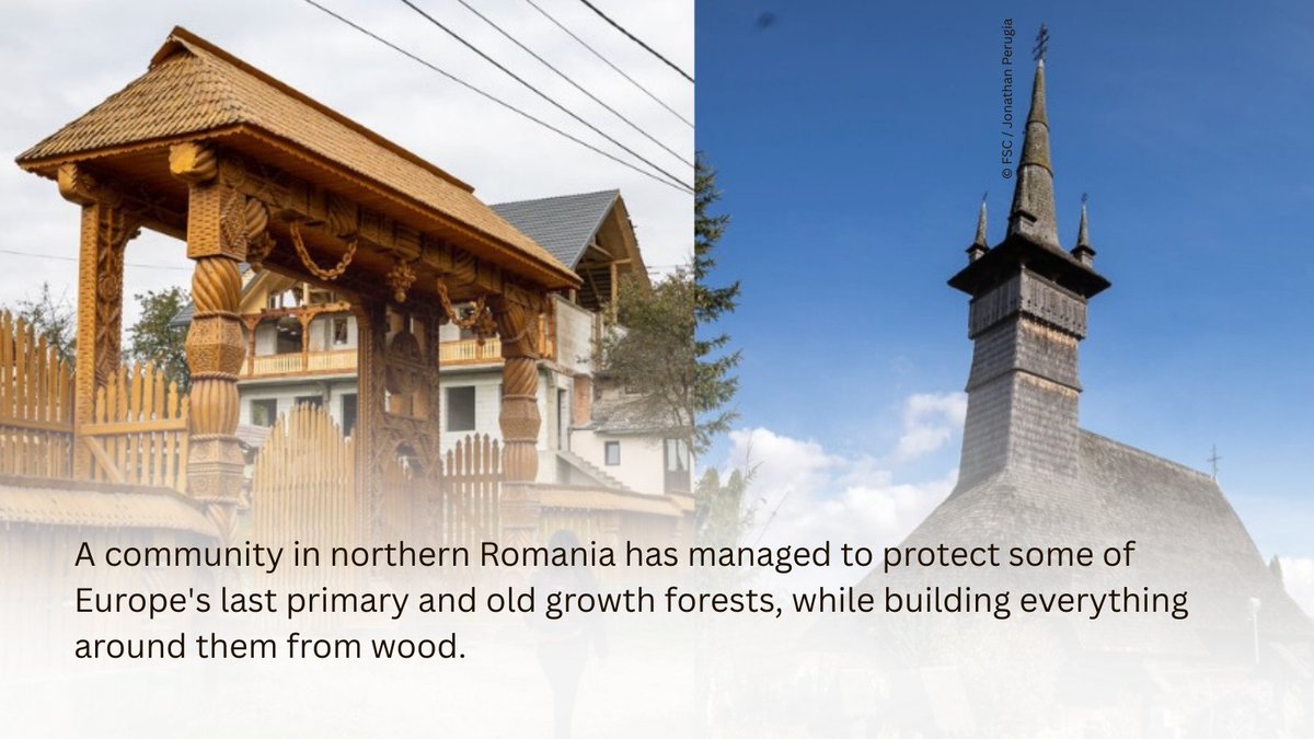 WWF Central and Eastern Europe tweet media