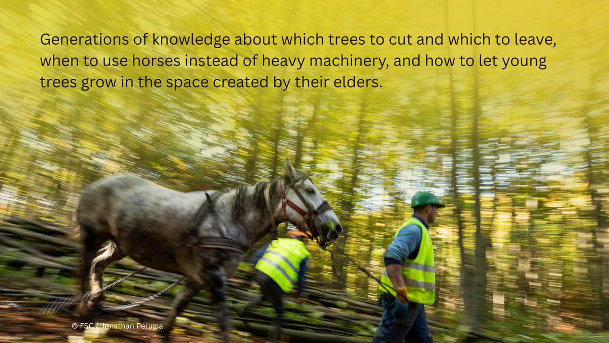 WWF Central and Eastern Europe tweet media