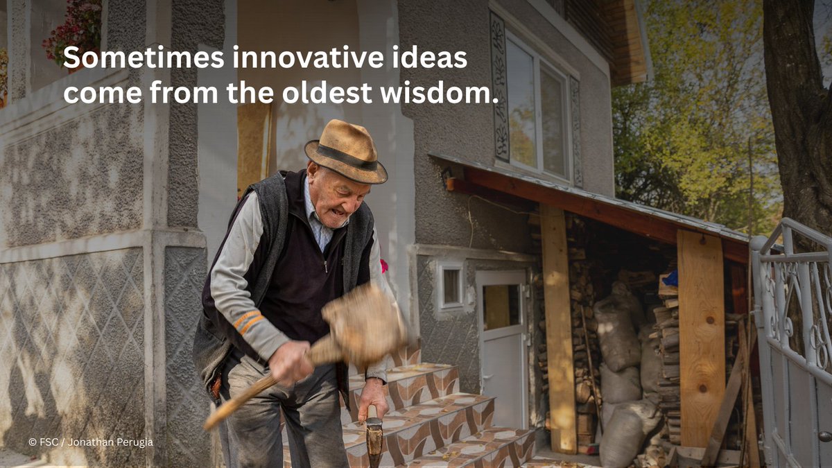 WWF Central and Eastern Europe tweet media