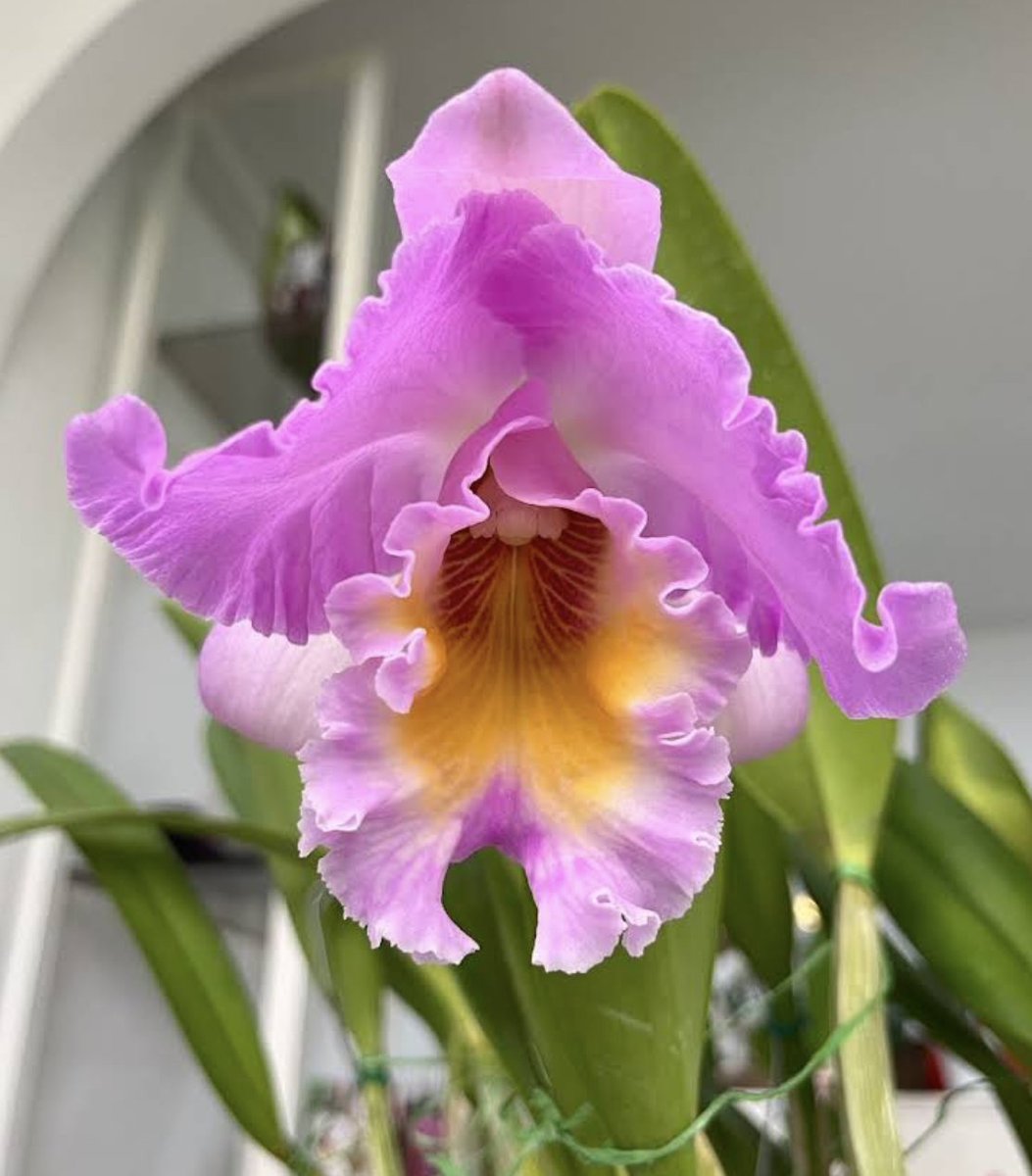 Dejen de mandar porno.