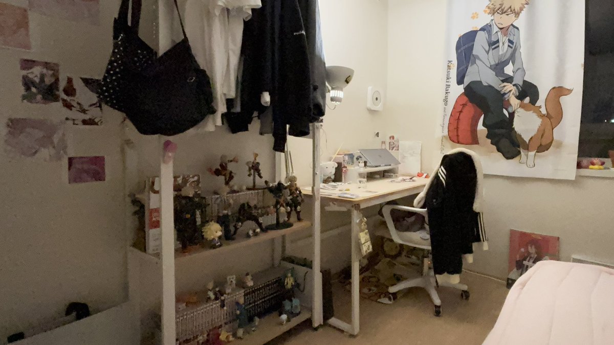 고양이 tweet media