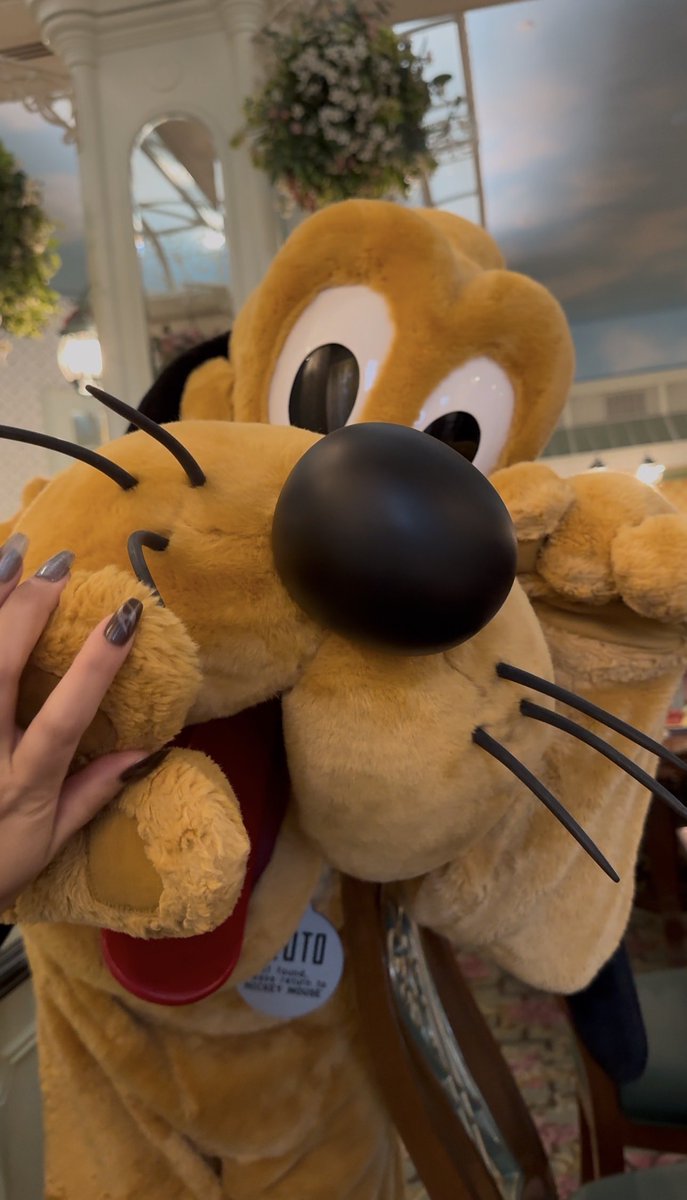 今年は🇭🇰ランドホテル🏨
朝ビュッフェでのプルートは神対応でした笑