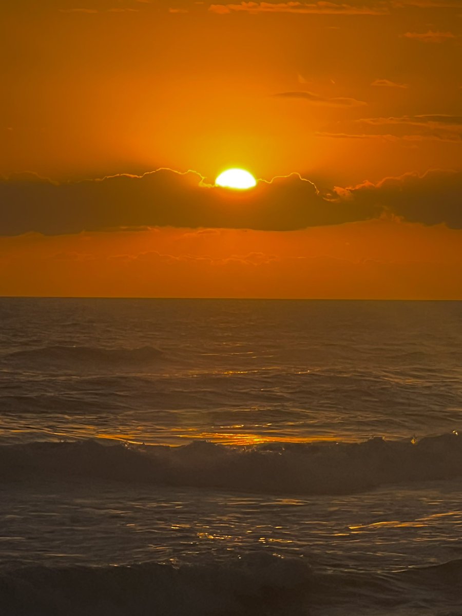 🇺🇸 T Bohn 🇩🇪🇮🇪🇯🇴🇺🇦🚀♊️ tweet media