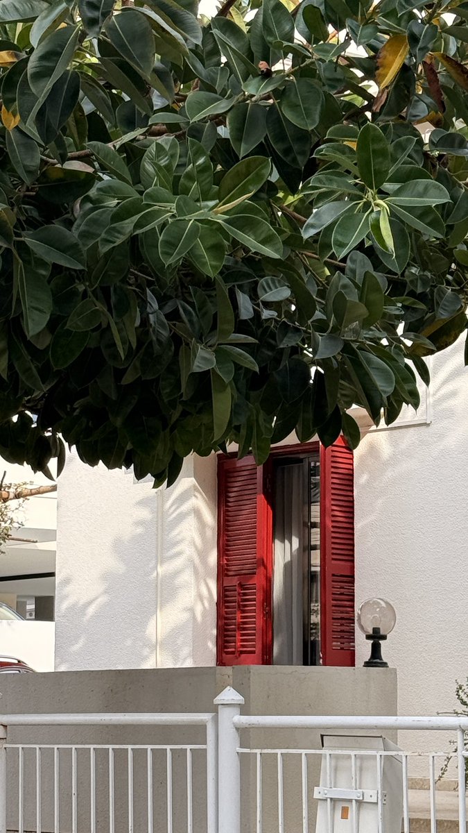 Как же хороша зима на Кипре. Честно говоря, я с ужасом думаю о лете. Поняла что я не жароёб. Бросает в дрожь так же, как было от мыслей о зиме в России