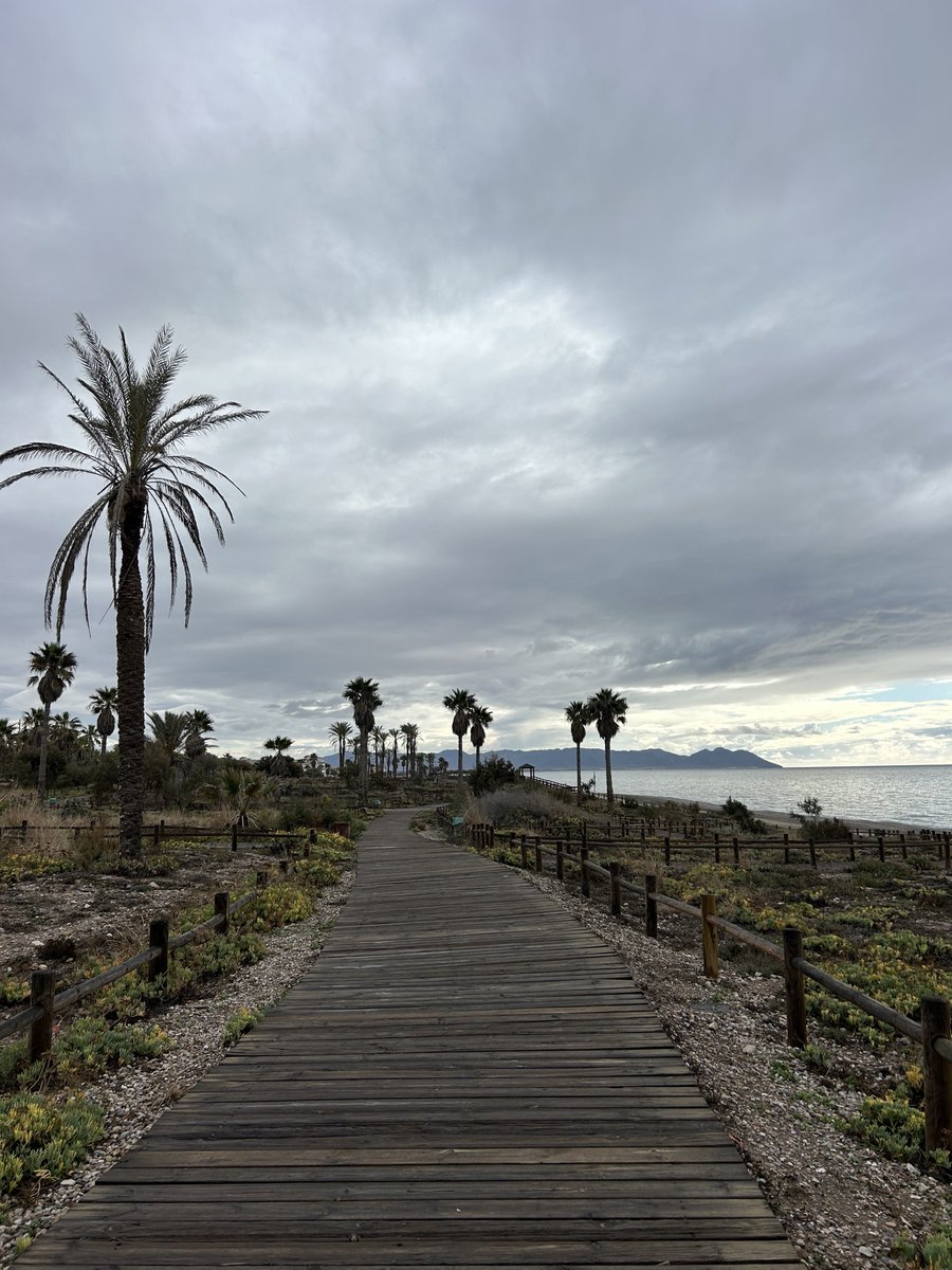 IssurSanchez's tweet image. Los días grises también tienen su encanto.