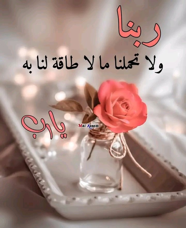 علمتني الحياة : كونوا كالمطر أينما وقع نفع كونوا نفّاعين للجميع دون تفرقة أو تمييز
#ثم
ما زلنا نتعلم كل يوم من الحياة درساً جديداً رغم أن ثمن بعض الدروس مؤلم ولكنه يفيق العقل كثيراً .
#𝒜𝒮ℋ𝒬𝑨𝑳𝑹𝑼𝑯❤️