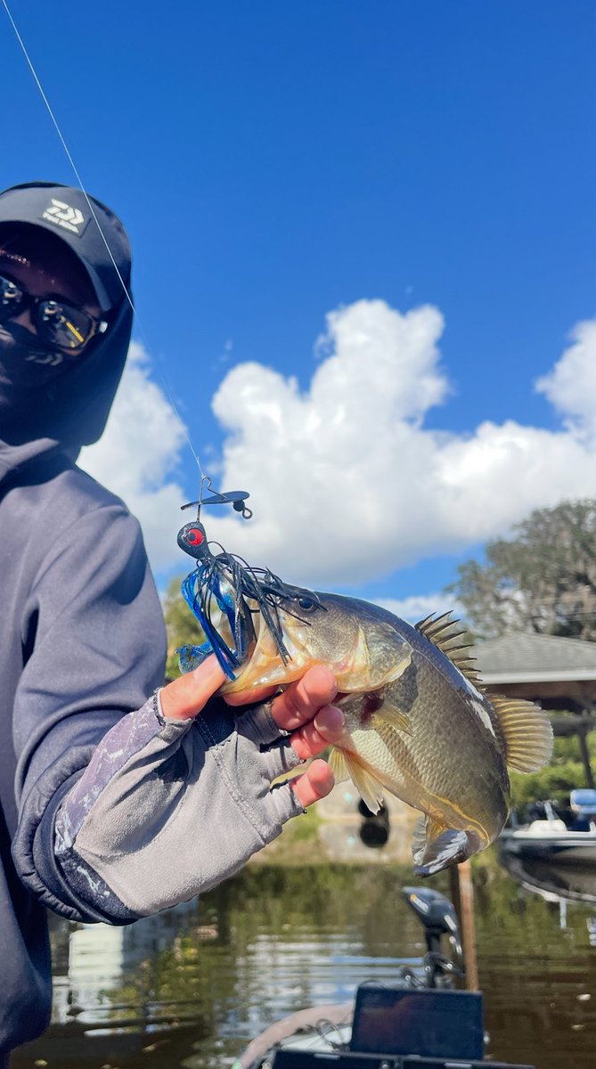 Motoaki Usami 宇佐見素明 (@usa_bass) / Posts / X