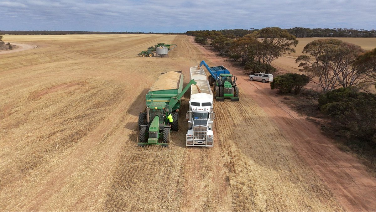 Sam Guest tweet media