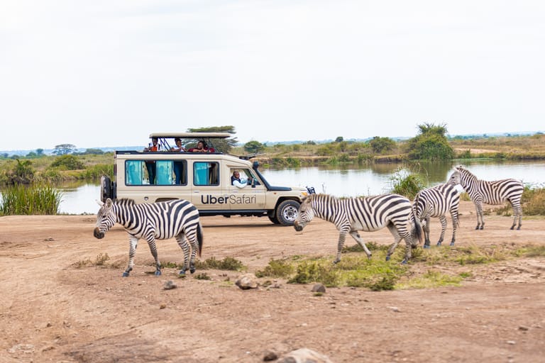 AfricaFirsts's tweet image. Tourists in Kenya 🇰🇪 can now request an Uber Safari, where a van takes them on a 3-hour game drive through Nairobi National Park for about $200.