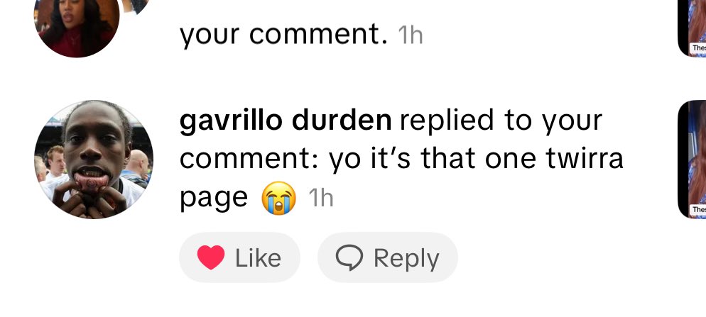 When did I become a niche internet microcelebrity