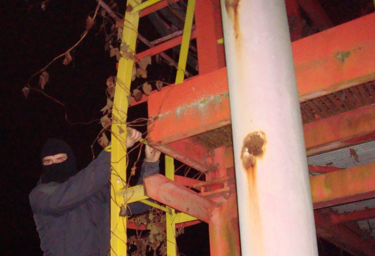 bury me under a pine tree tweet media