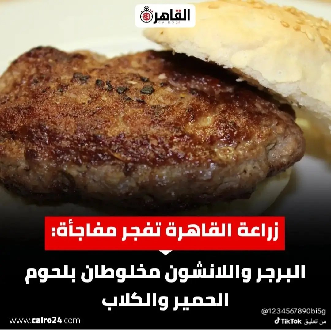 mee9ir's tweet photo. @TarekAli1960 أثر على عقولكم لحم الحمير والكلاب https://t.co/xs9c6Ol16Z