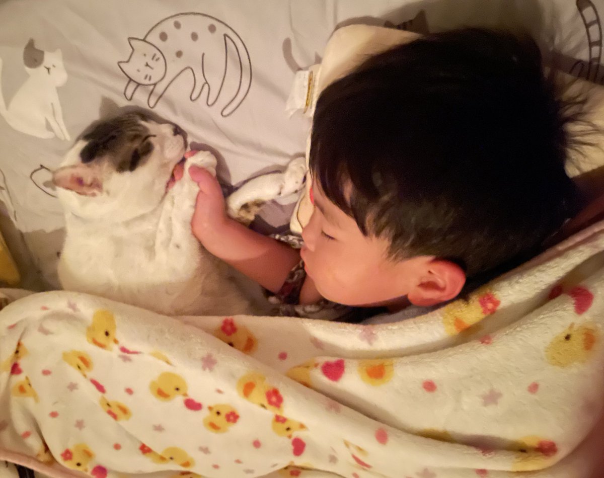 ゴンゾウR4 (@R453374510) / Posts / X