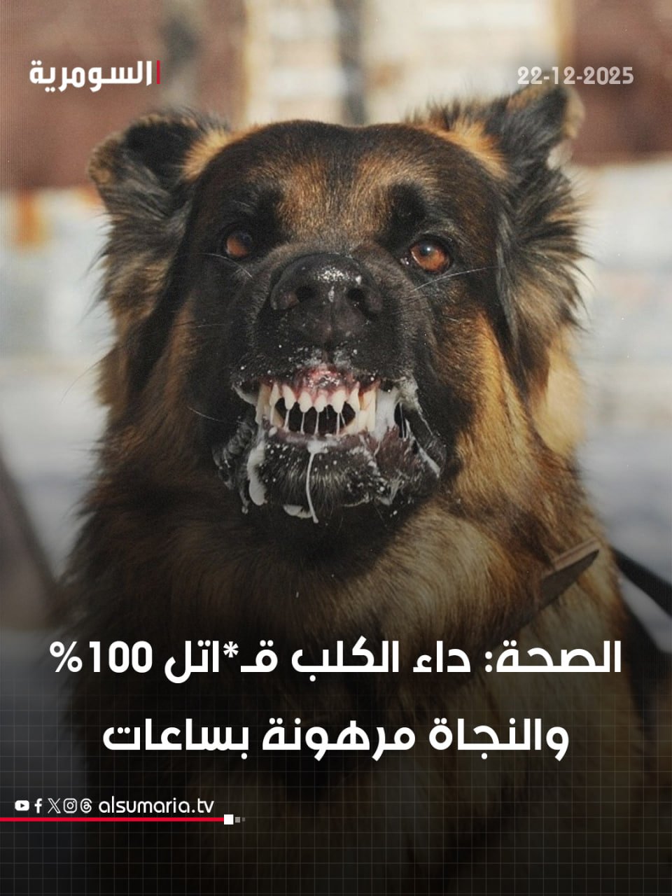 الصحة: داء الكلب قـ*اتل 100% والنجاة مرهونة بساعات. التفاصيل كاملة في اول تعليق 