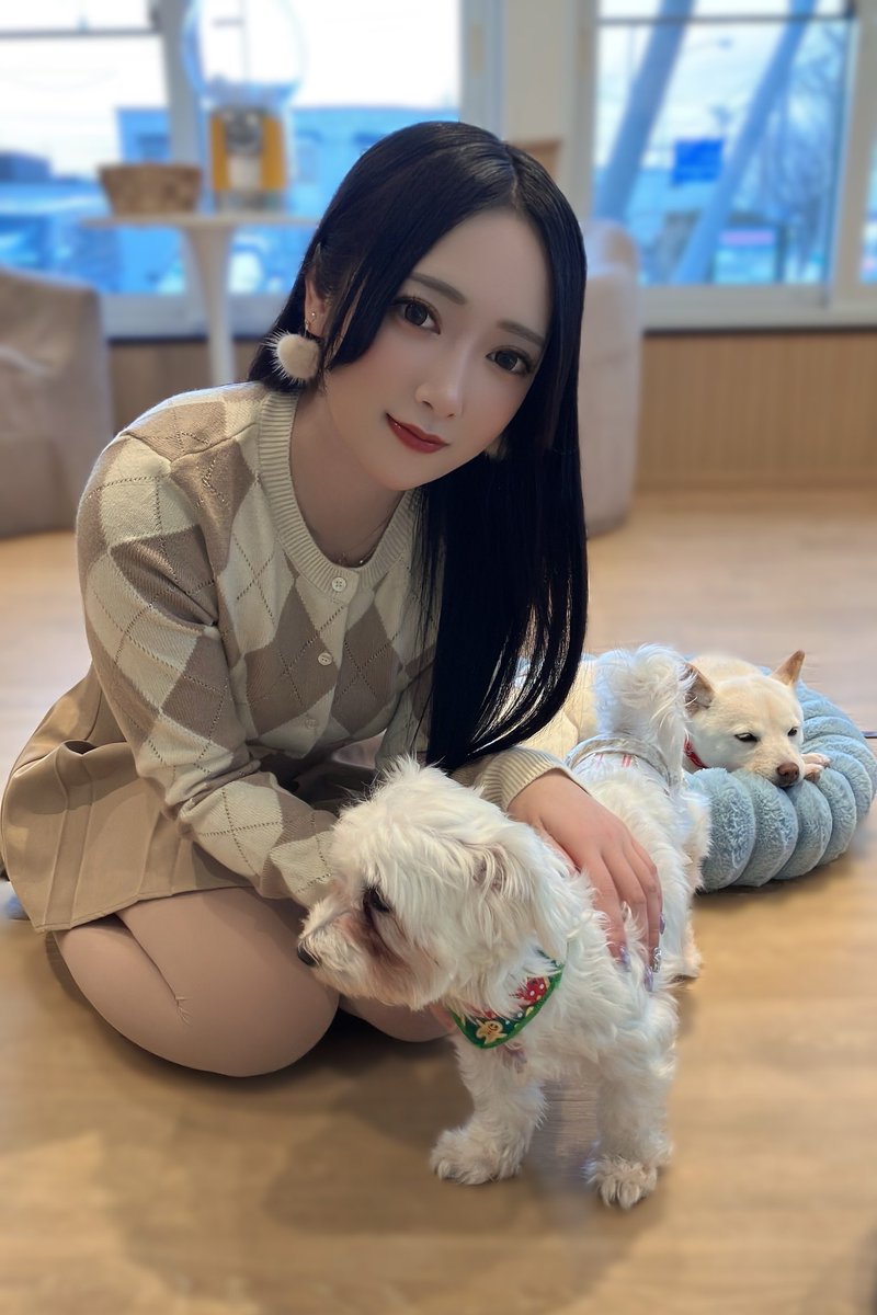 あーちゃん (@pm_1202p) / Posts / X