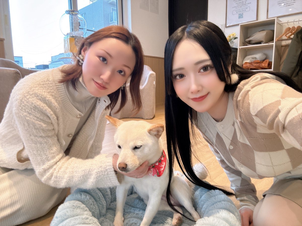 あーちゃん (@pm_1202p) / Posts / X