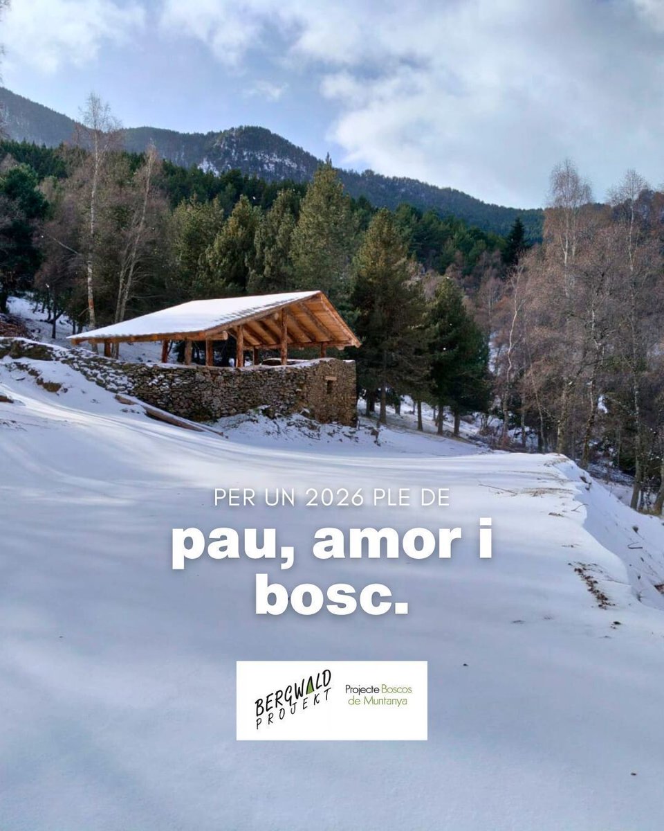 Projecte Boscos de Muntanya tweet media