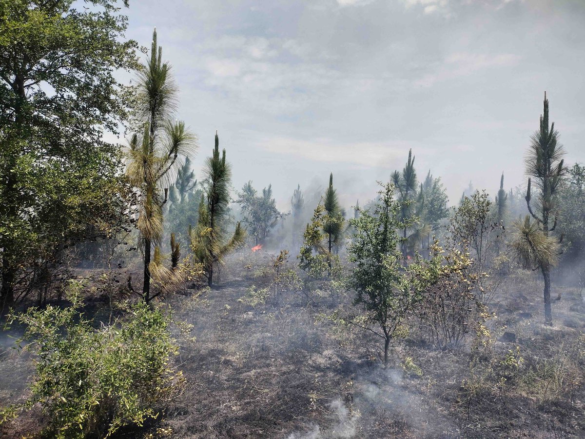 Quail Forever is proud to partner with Marine Corps Logistics Base Albany to manage the land for wildlife habitat. 

At the heart of the on-base work are Julie Robbins, MCLB Albany Natural and Cultural Resource Manager, and Scott Dismuke, MCLB Albany Biological Science