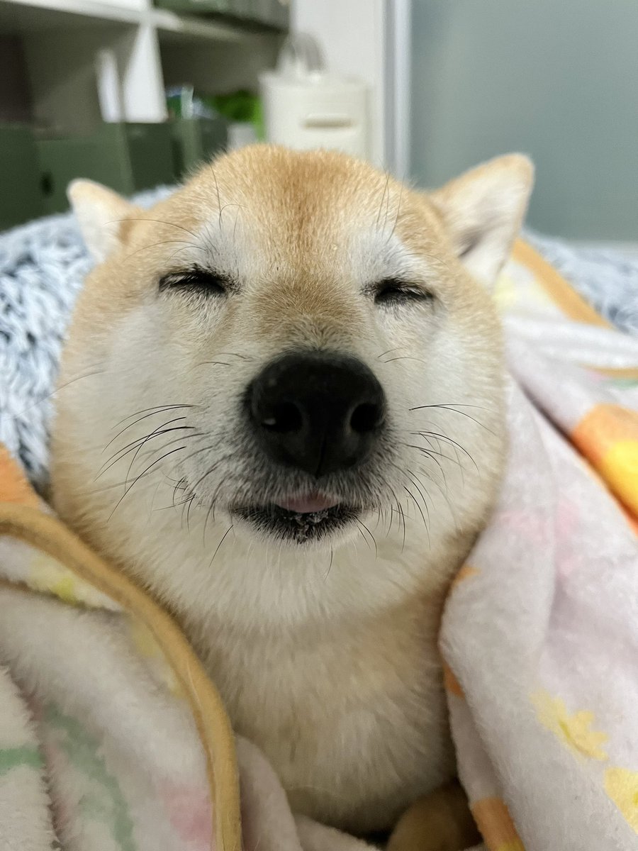 T.Katsumi (@ChinaObachan517) / Posts / X